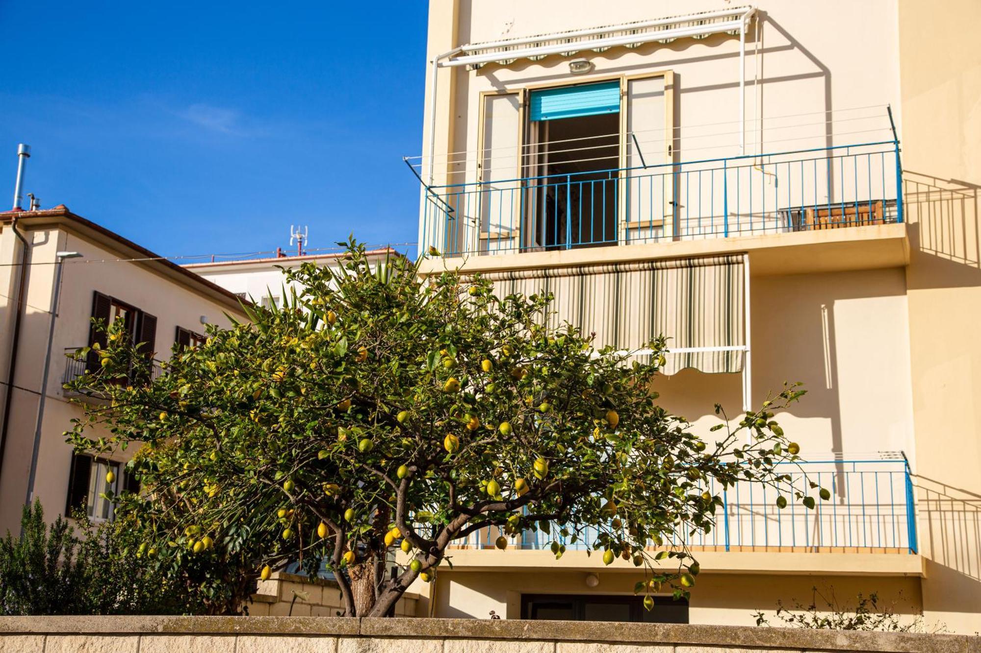 Appartamento Il Limone Zona Centrale Vista Mare San Vincenzo Exteriör bild